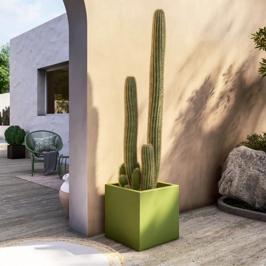 Progettato creativo vaso di ceramica dente Succulente