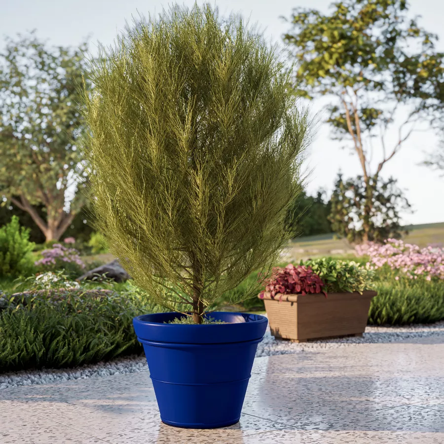Tusco Prodotti CTR20BK Cosmopolitan Rotondo Vaso da Giardino, 50,8 cm