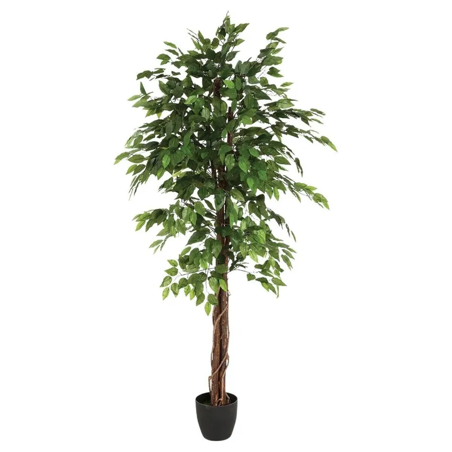Albero Artificiale Di Ficus Da 1,8 M Nearly Natural In Vaso Decorativo - 2