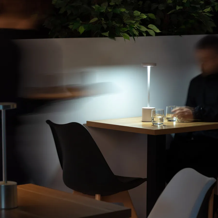 Lampada Decorativa XMASKING TWIGball Con 80 LED Bianco Freddo - Argento, Diametro 30 Cm