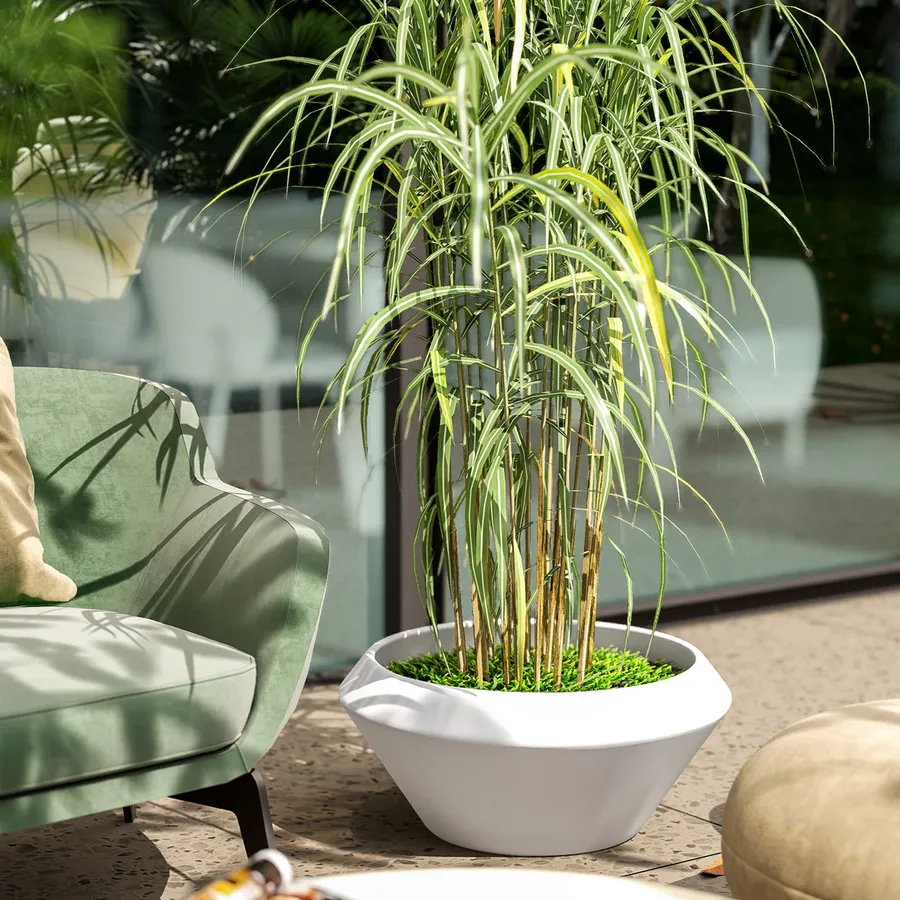 Vaso Rotondo In Plastica Geli Thermo, Polipropilene Con Fori Di Drenaggio, Colore Bianco, Misure Disponibili In Diverse Dimensioni