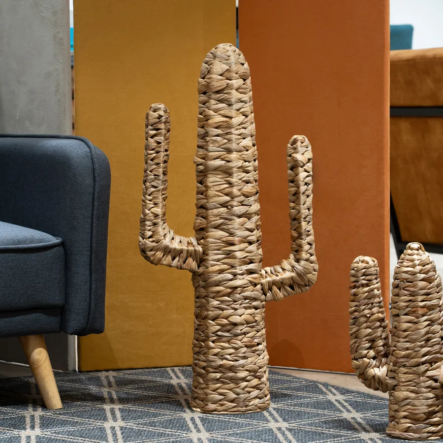 Cactus Sul Fondo Di Legno Di Struttura Fotografia Stock - Immagine di