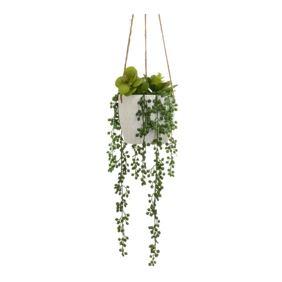 pezzo di pianta pensile artificiale, pianta pensile artificiale, pianta in vaso, edera