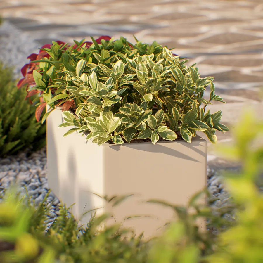 Prosperplast Wheaty DWH130-117U Flower Pot in Various Colours and Sizes (157 mm, Mustard