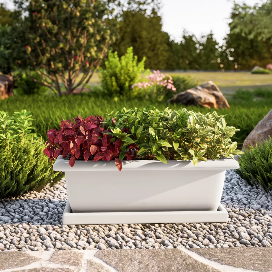 Punte Per Fiori Seat Flor - Set Per Composizioni Floreali (4 Misure: 11cm, 15cm, 18cm, 25cm)