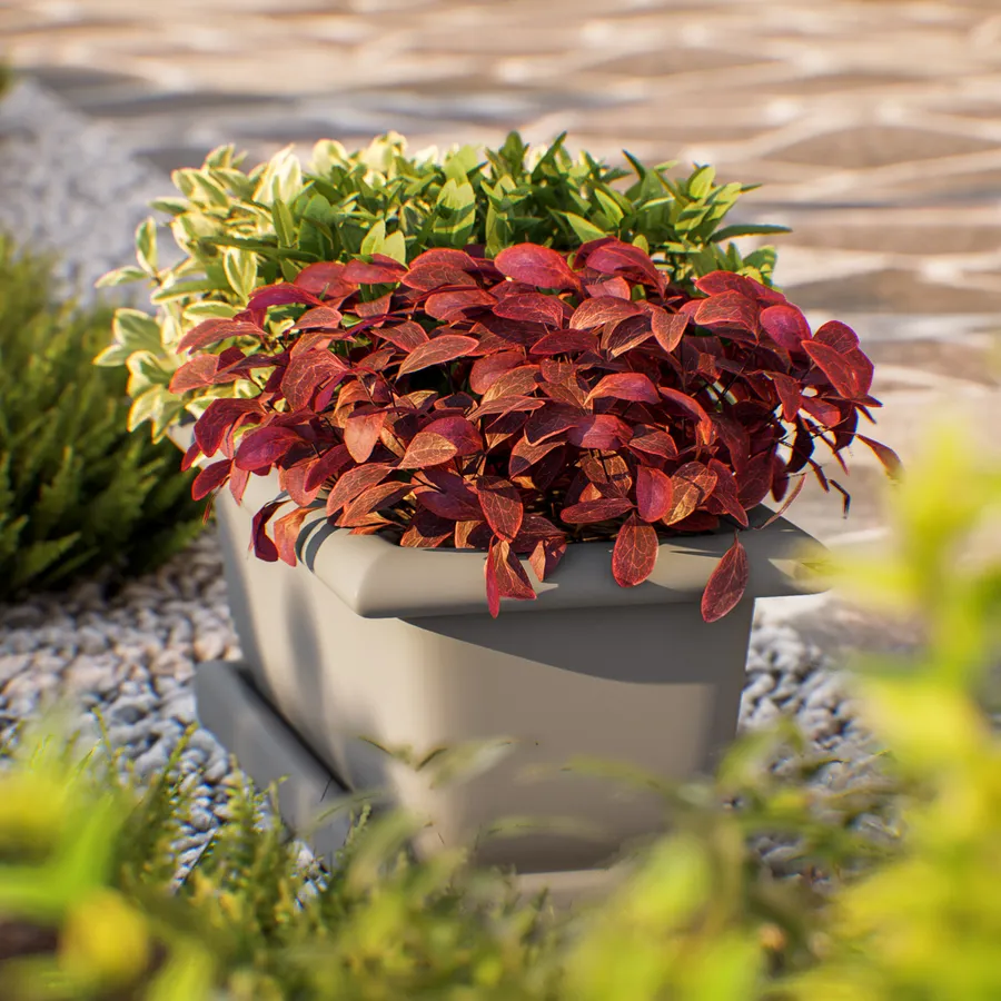Fioriera Rattola Con Sottovaso - Lunghezza 29,5 Cm - Colore Taupe - Resistente A Pioggia E UV - 4