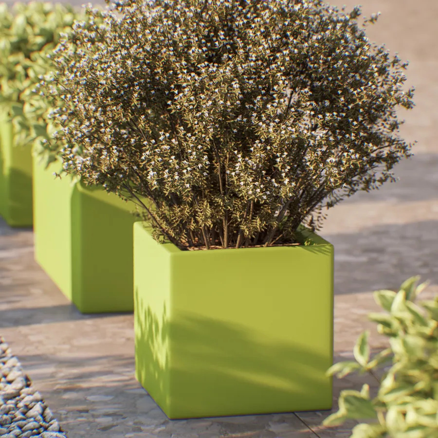 Elho Green Basics Trough 60 - Fioriera per Balcone esterno - 58.3 x H 14.0 cm - Verde/Leaf Green