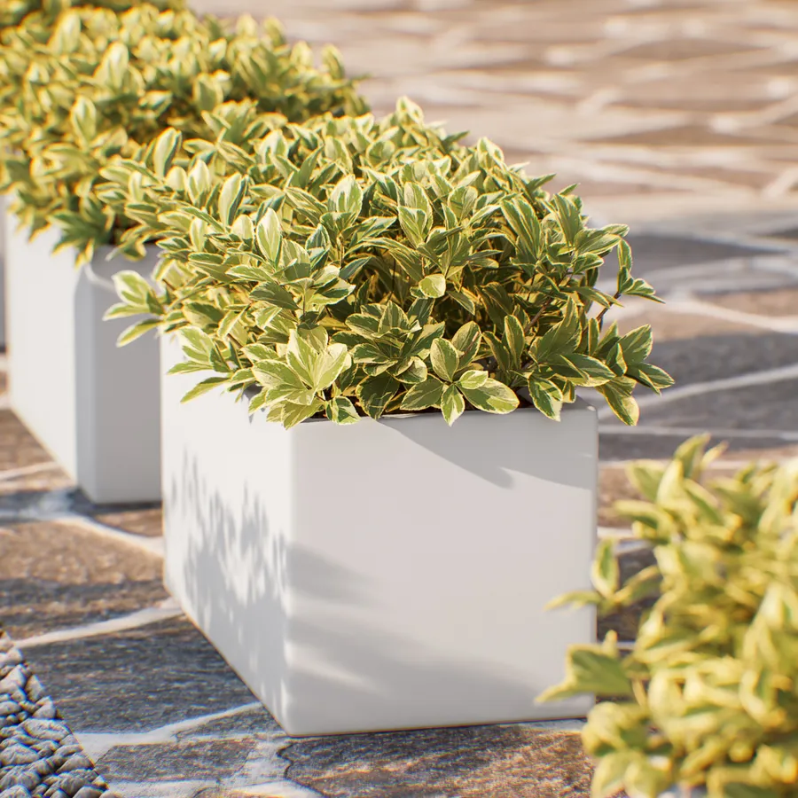 Jardinière Pour Balcon BOARDEE BASIC De 4,9 Litres, Dimensions  Mm 383x144x130 Couleur Blanc 87966207