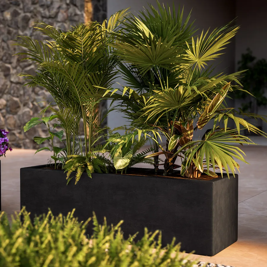 Vasi Per Piantine In Plastica Nera Contenore Per La Coltivazione Di Piante Da Fiore Per L'agricoltura