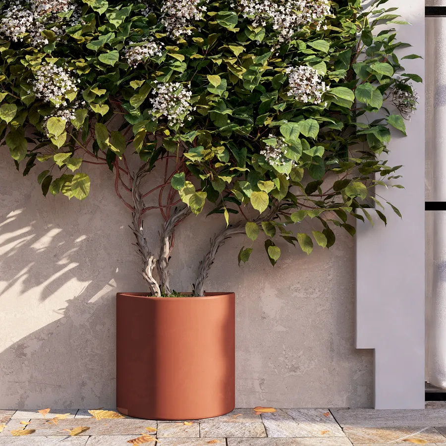 Yucca Artificiale con Vaso Altezza 225 cm