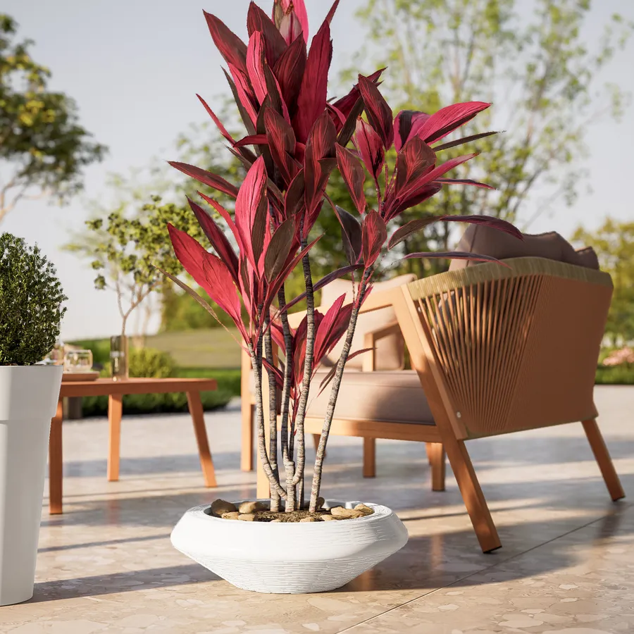 Flowerpot di plastica rotondo Sandy rotondo in bianco 12