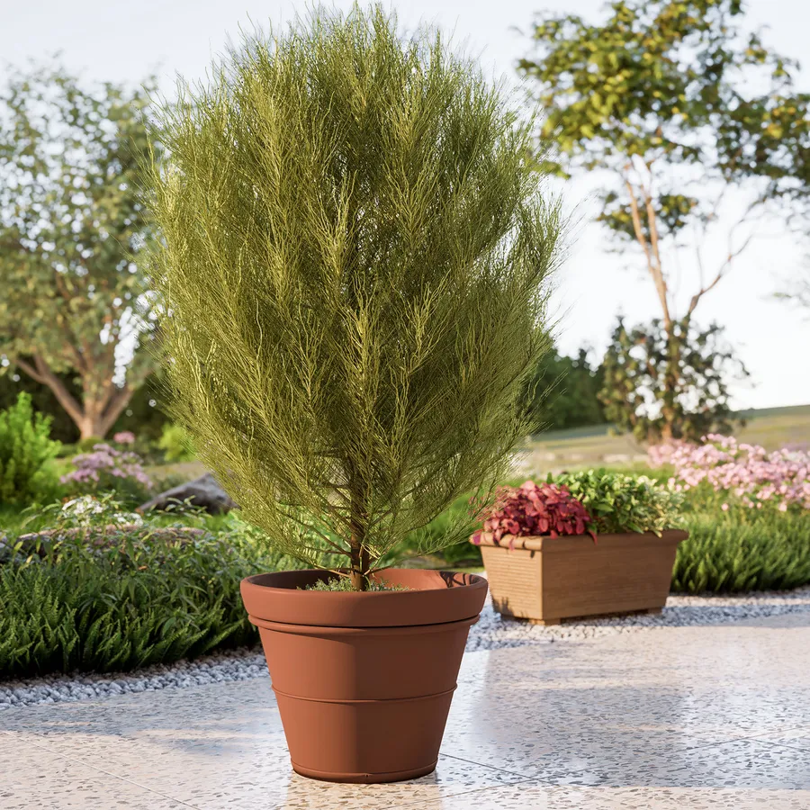 Vaso Rotondo Per Piante 40 Cm Con Sottovaso 33 Cm - Plastica Color Terracotta - Per Esterno, Giardino, Balcone Con Fori Di Drenaggio