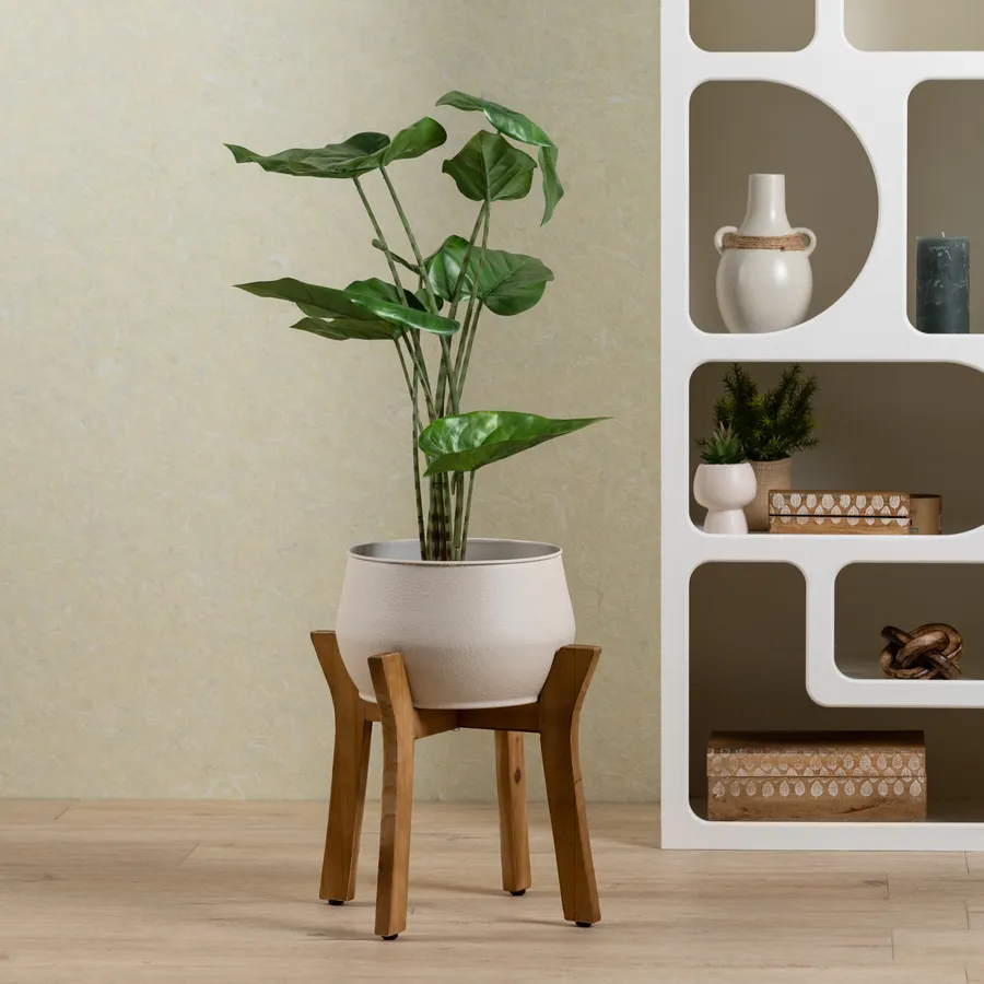Vaso D'vine Dev Con Supporto A Gambe, 30,5 Cm, Bianco, Metà Secolo, Per Piante Da Interno - 5