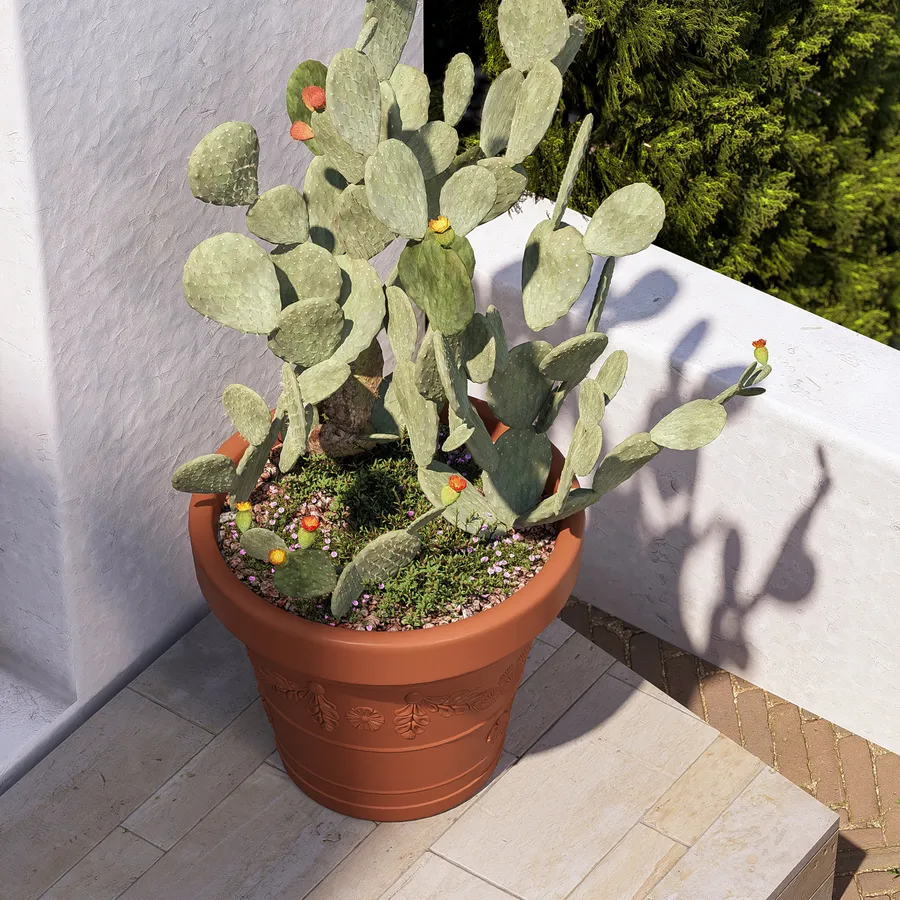 Vaso da esterno rotondo 65 cm festonato tutta capienza in polietilene terracotta - Fester