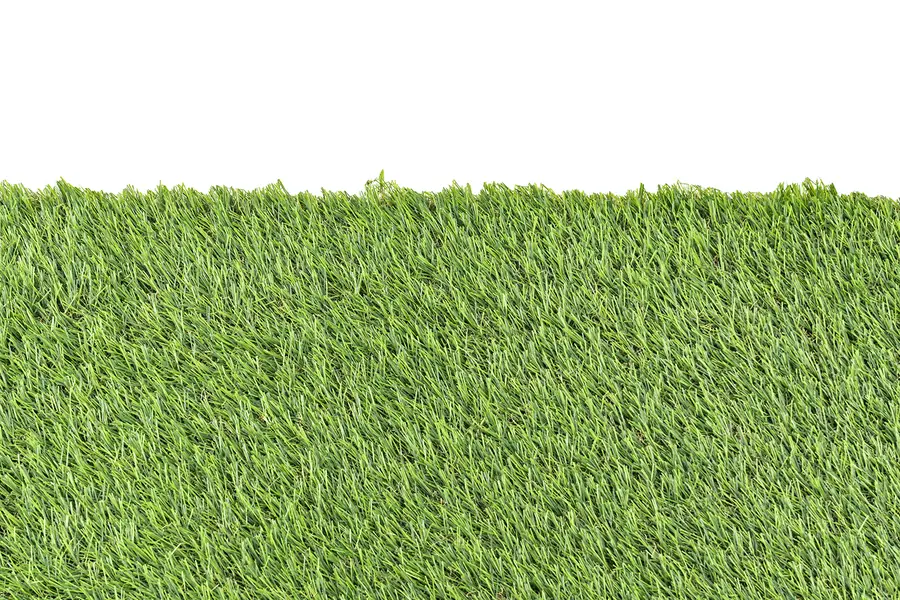 VERDELOOK Sempreverde® Erba artificiale, 2x20 m, arredo giardino