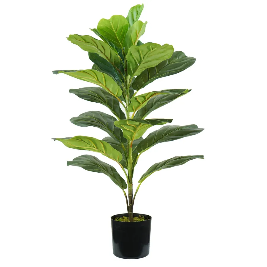 HOMESCAPES Albero artificiale con foglie di violino alto 75 cm con tronco effetto legno finto fico in vaso nero per decorazione di interni