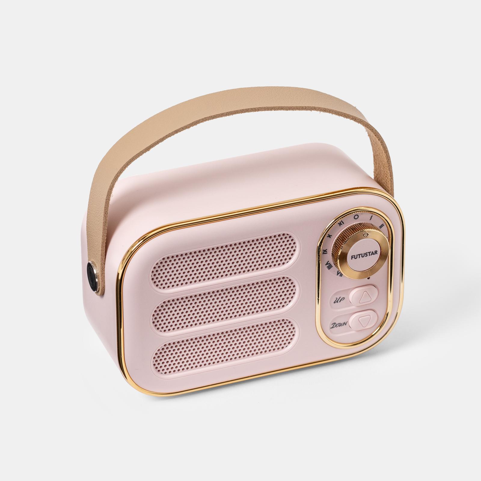 Altoparlante Karaoke Portatile 10W Wireless USB Micro SD AUX-IN XR 8A01 MINIPARTY Rosa