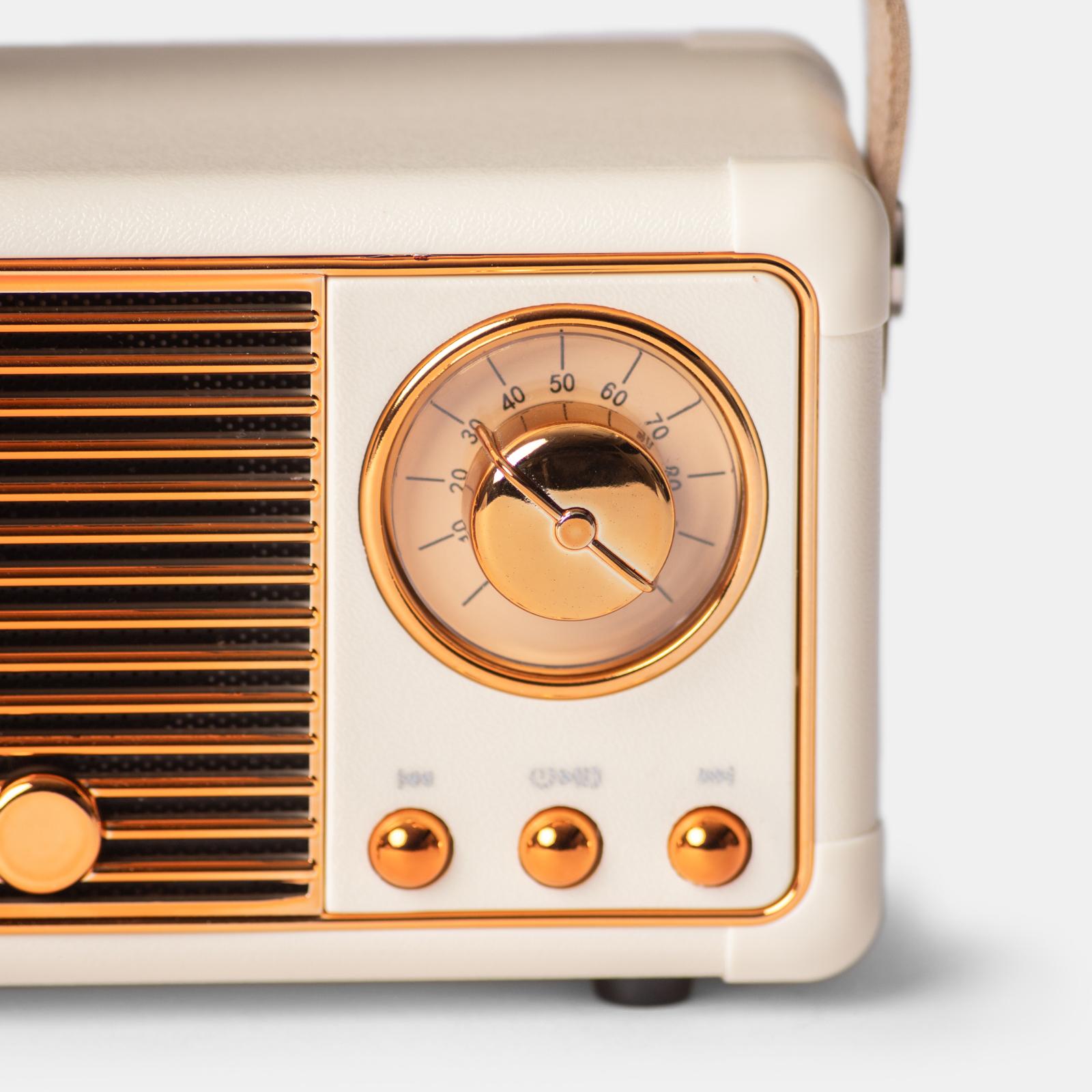 Cassa Bluetooth Retrò Mini: Altoparlante Portatile Con Design Vintage, Suono Potente E Vivavoce (Bianco)
