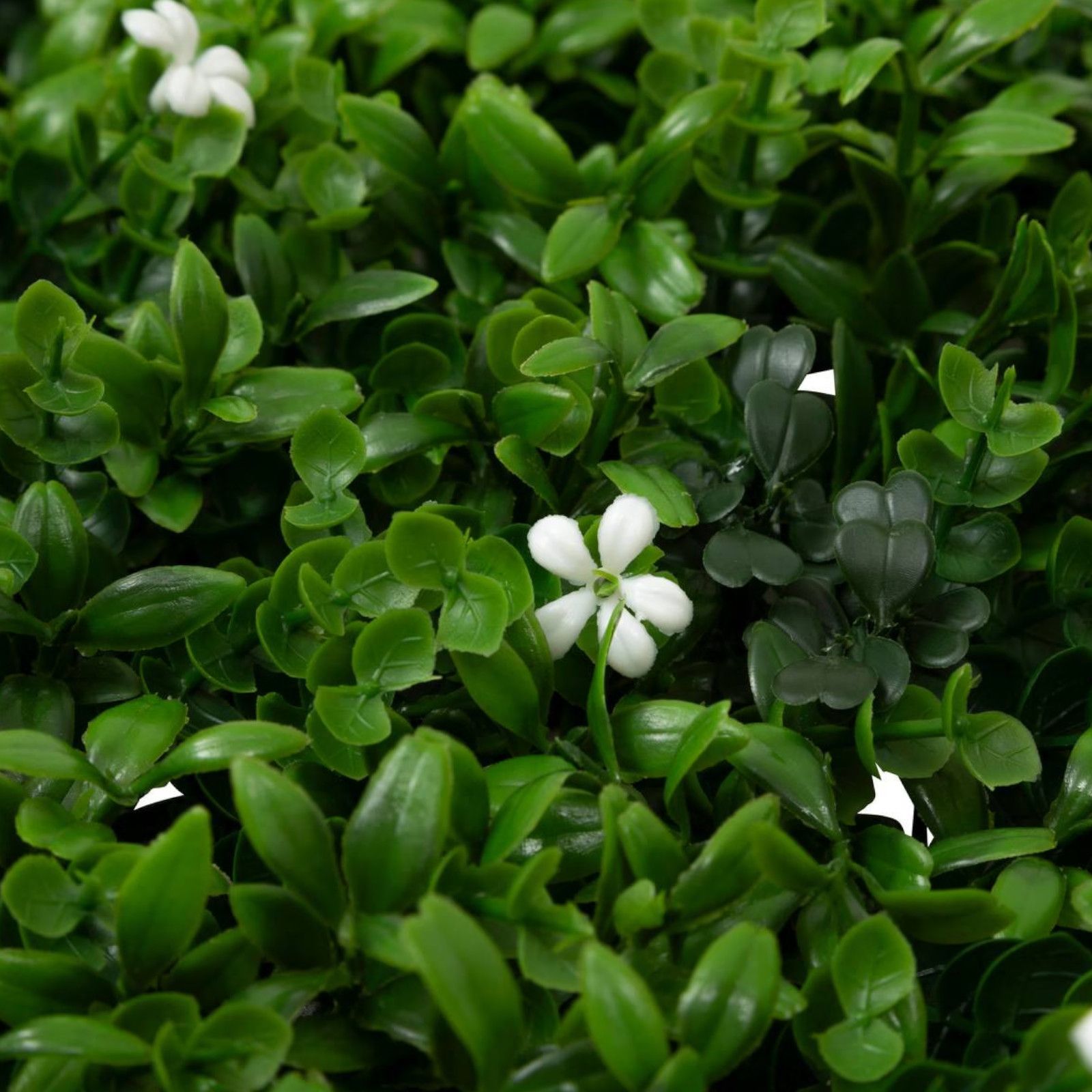 Pannelli da parete con siepe artificiale, confezione da 4, schermi protettivi e per la privacy del giardino, fondale in erba sintetica, 50 cm x 50 cm | Leroy Merlin