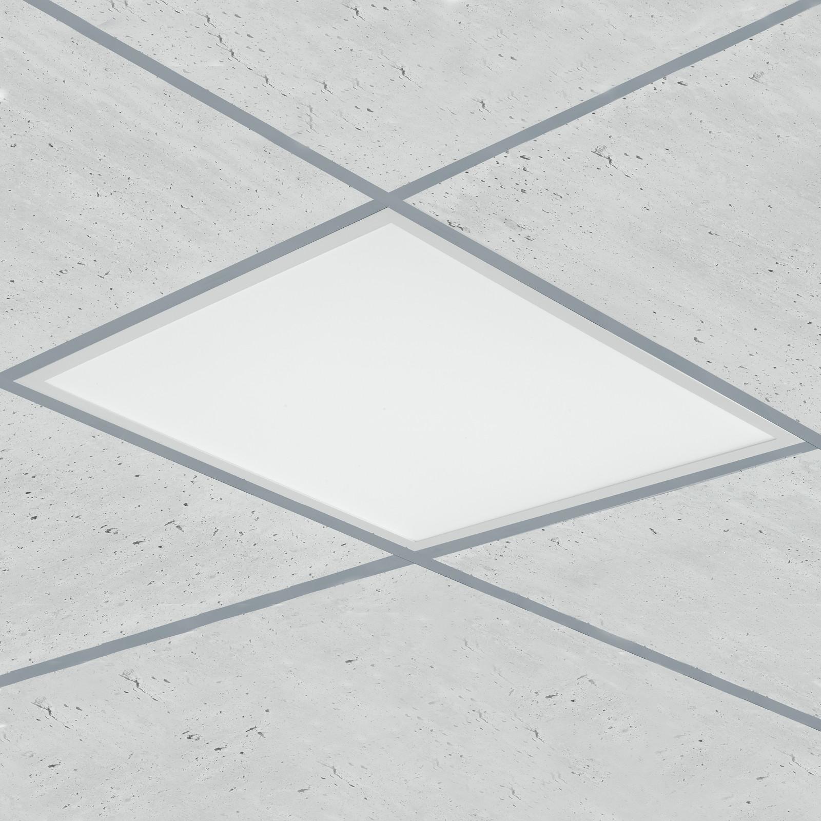 Mini plafoniera LED 15W bianco freddo - Alta luminosità | HippoPlace Mini plafoniera LED 15W bianco freddo - Alta luminosità | HippoPlace