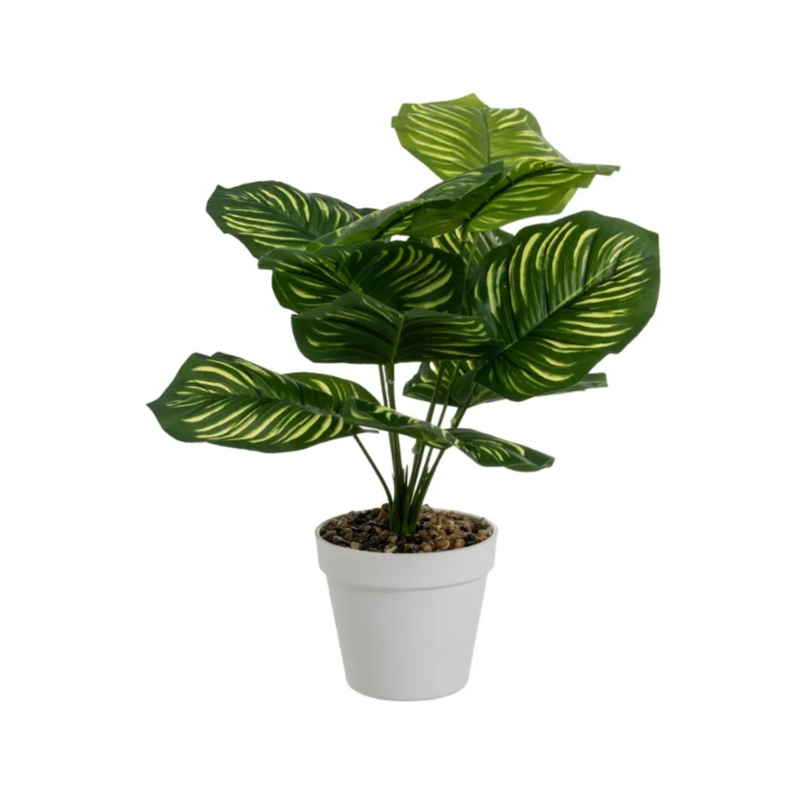 CALATHEA PIANTA h 50 cm - PIANTA ARTIFICIALE