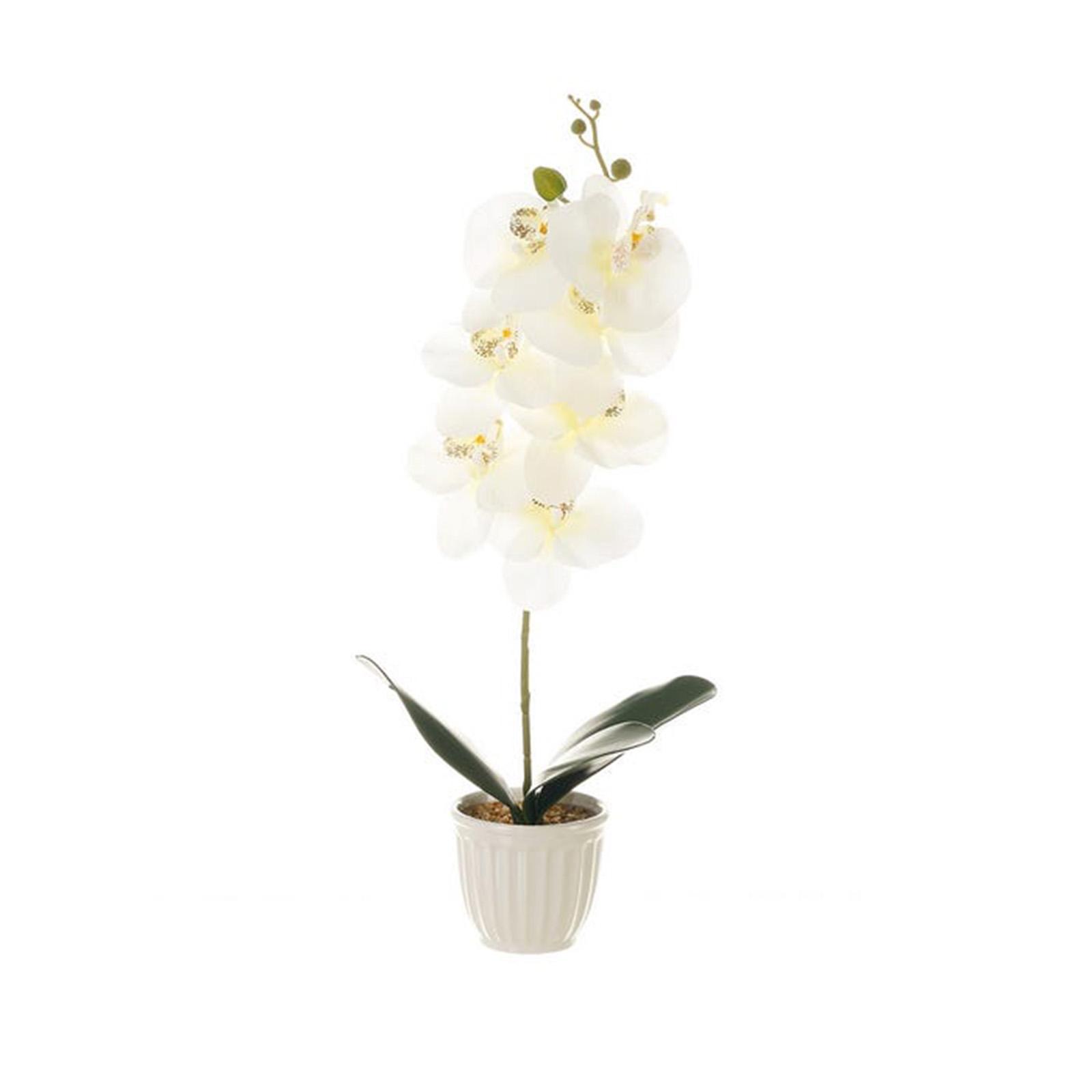 Decovego Orchidea Artificiale Con Vaso - 75 Cm, Bianca, Pianta Finta Di Alta Qualità - 2