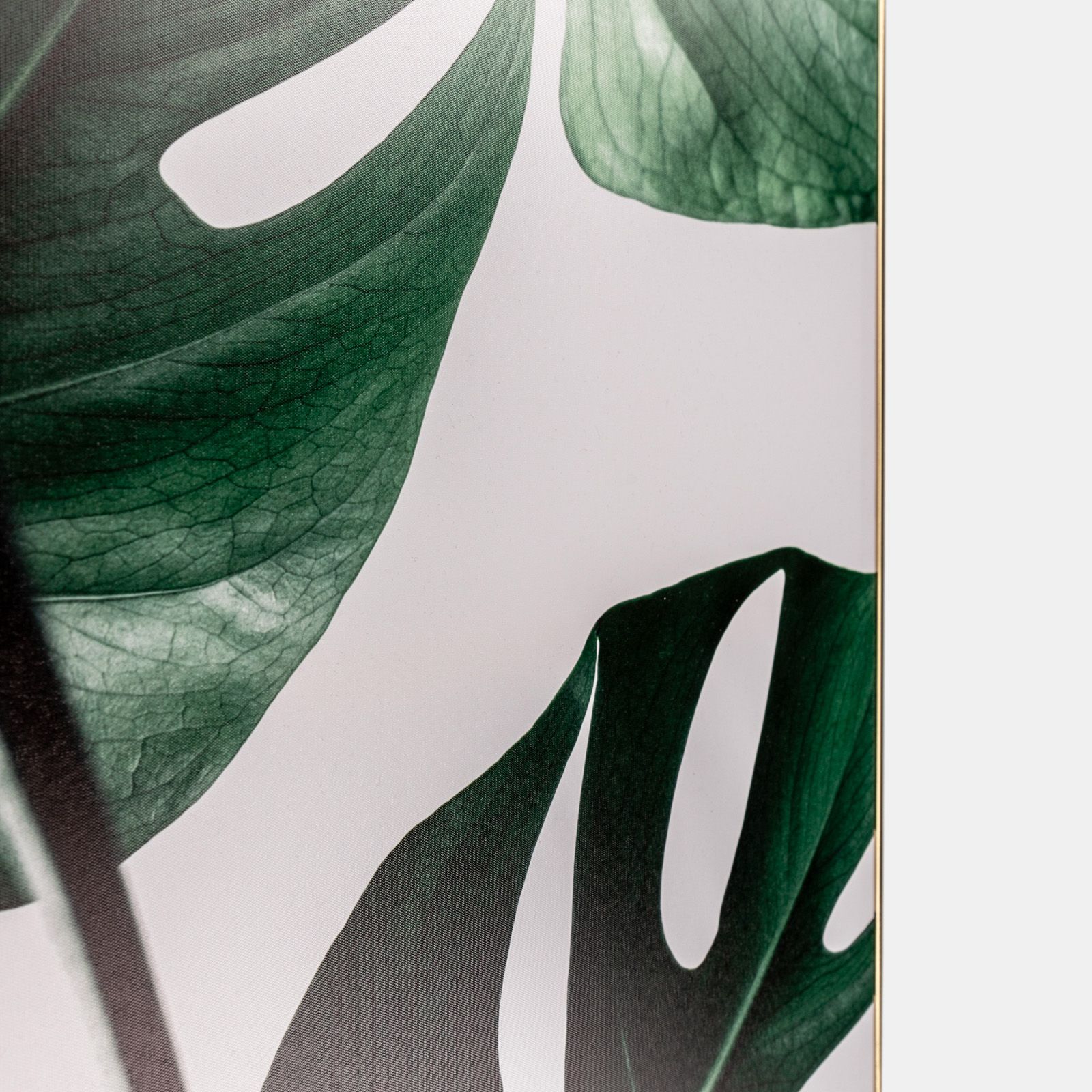 Stampa su tela con cornice 55x70 cm con fantasie foglie e sfondo bianco
