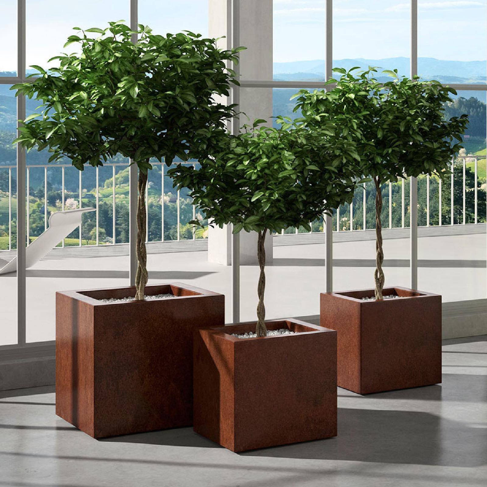 12 Vassoi Portavaso Quadrati Neri - Per Piante Interne/esterne, Misure Multiple 12/15/18cm
